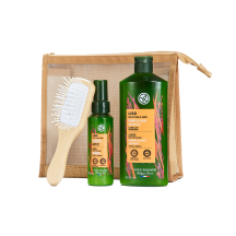 Conjunto Haircare Alisante | Yves Rocher Portugal